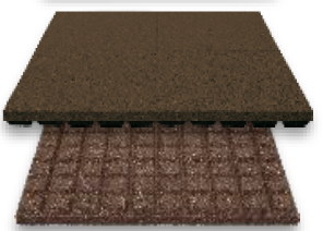 Placă Reflex recomandată